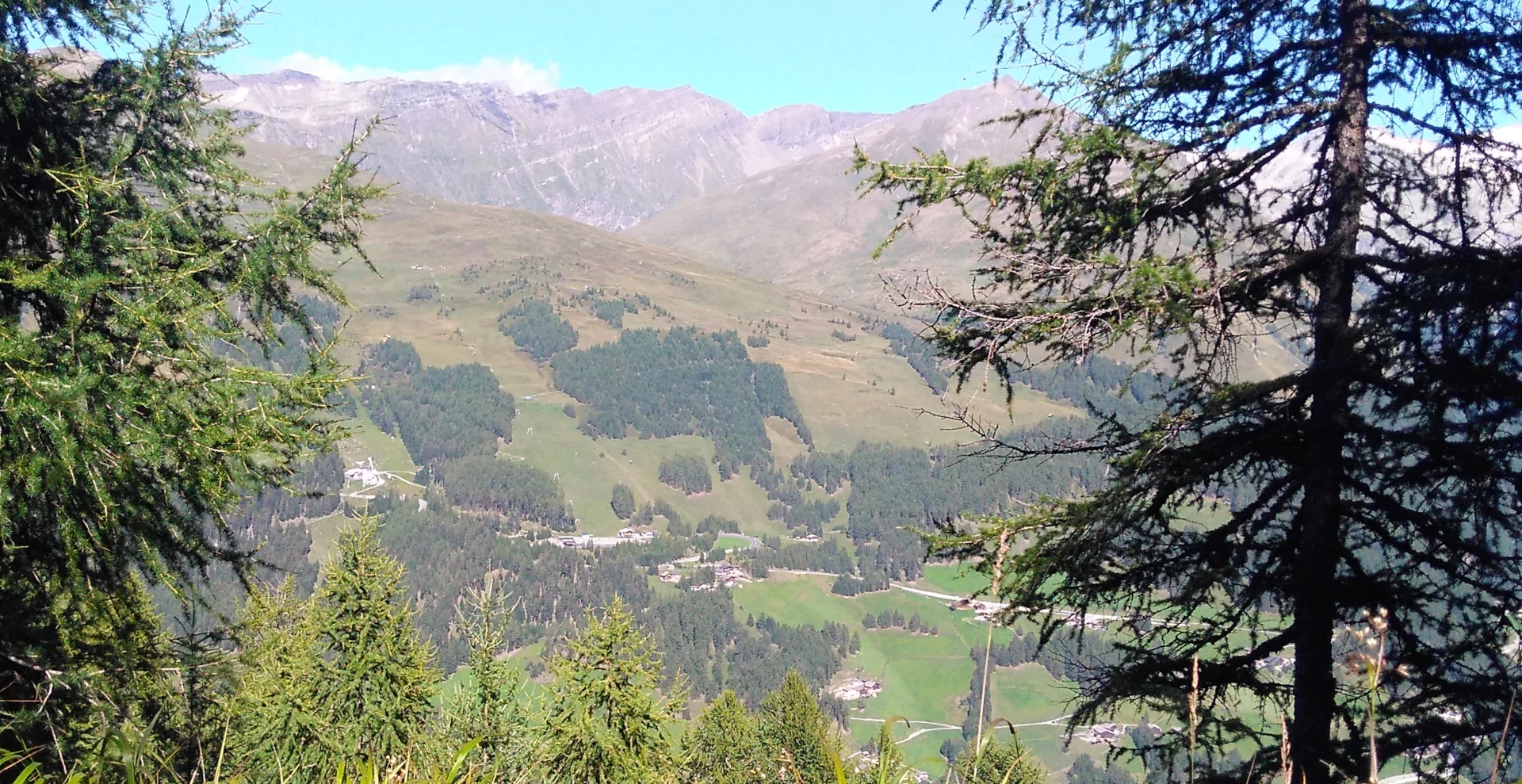 Die Almen des Scharecks aus Blickwinkel des Gegenhangs