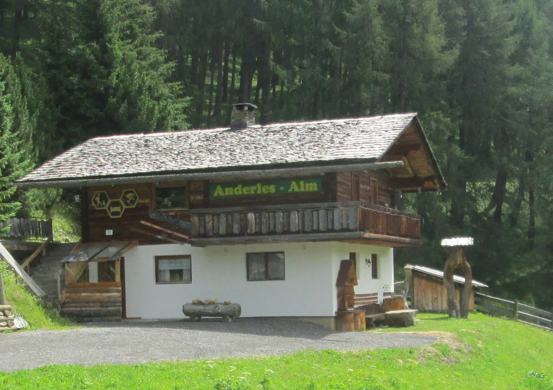 Ferienhaus Anderles-Alm im Sommer