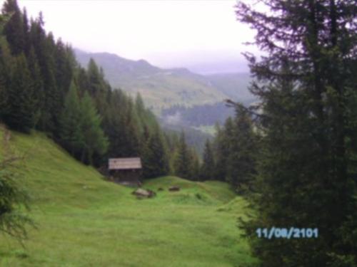 img_1286826066_567